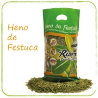 heno de festuca Ribero