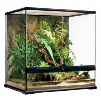 Terrario de cristal para reptiles