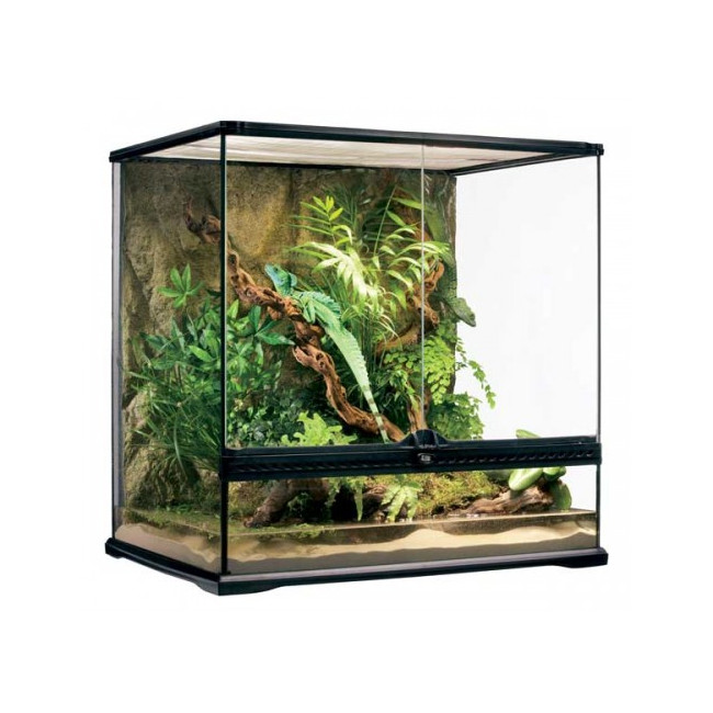 Terrario cristal para reptiles desérticos o tropicales