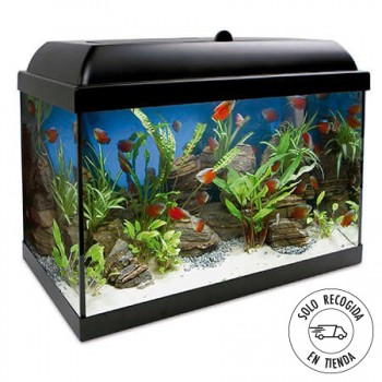 Acuario Aqua LED Pro 45 litros