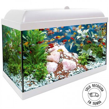 Acuario Aqua LED Pro 68 litros