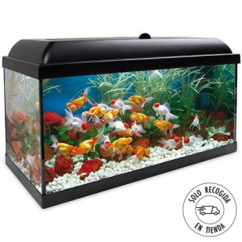 Acuario Aqua LED Pro 100 litros