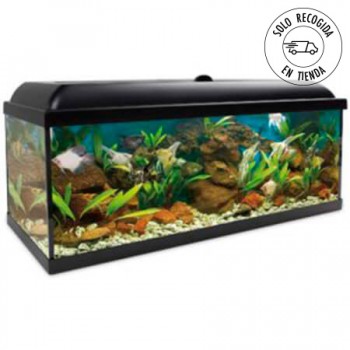 Acuario Aqua LED Pro 240 litros