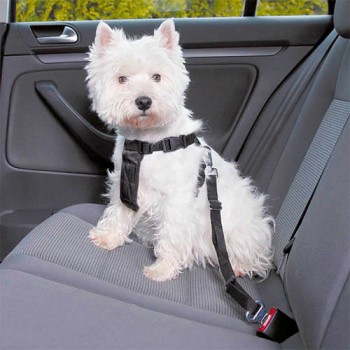 Funda Asiento Coche para perros Trixie Negro-Marrón 1.40 × 1.45 m